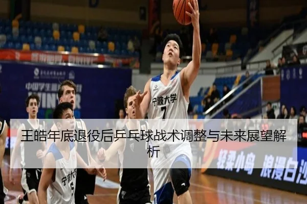 王皓年底退役后乒乓球战术调整与未来展望解析